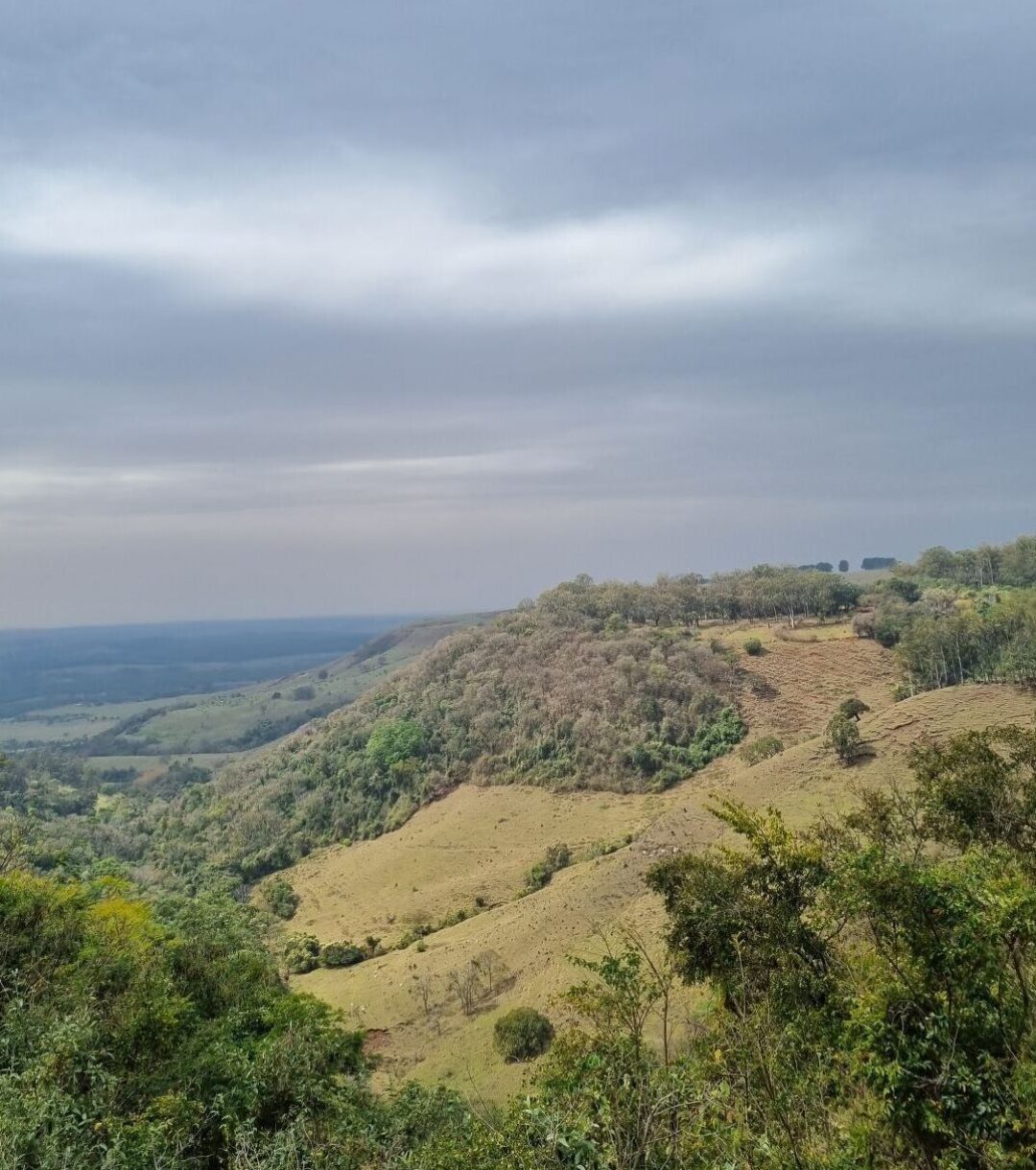 Paisagem